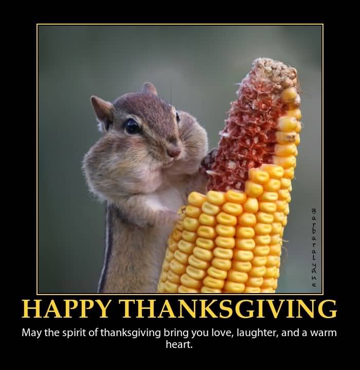 Squirrel Eating Corn Funny Thanksgiving Picture
