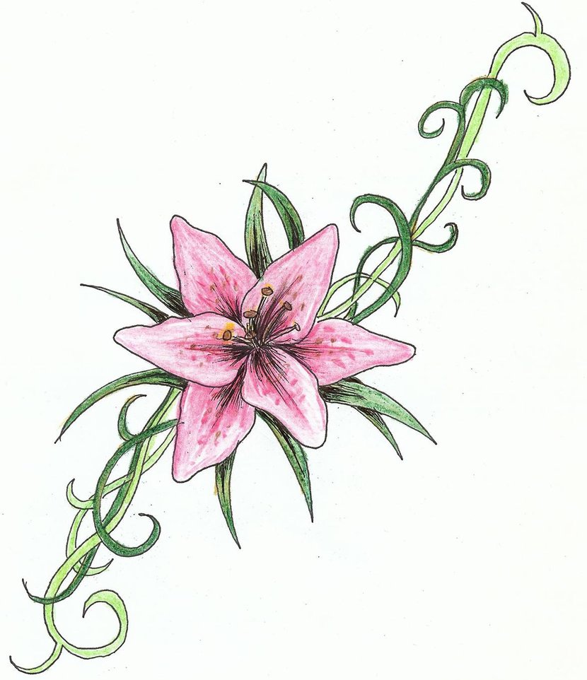 Stargazer Lily Tattoo Design by Sugarxfrost