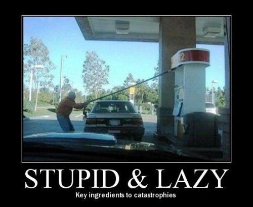 Stupid And Lazy Funny Picture