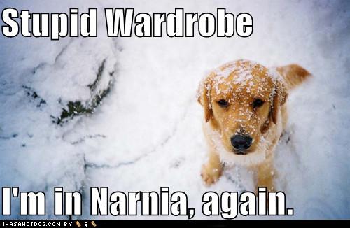 Stupid Wardrobe I'm In Narnia, Again Funny Picture