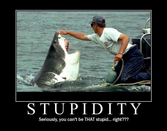 Stupidity Seriously You Can't Be That Stupid Funny Meme