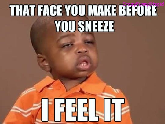 That Face You Make Before You Sneeze I Feel It Funny Meme