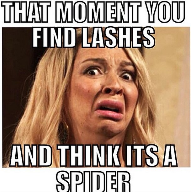 That Moment You Find Lashes And Think Its A Spider Funny Meme