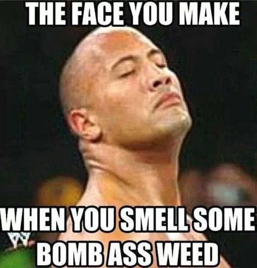 The Face You Make When You Smell Some Bomb Ass Weed Funny Meme