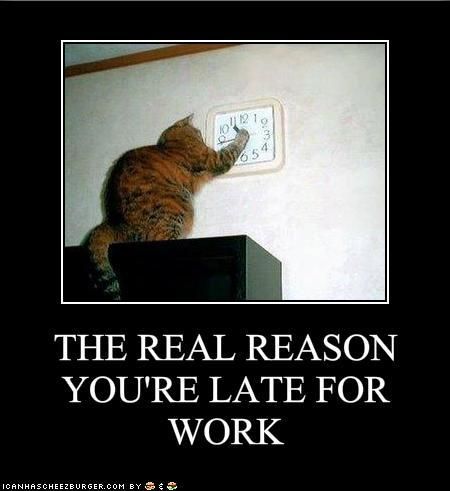 The Real Reason You’re Late For Work Funny Stupid Picture