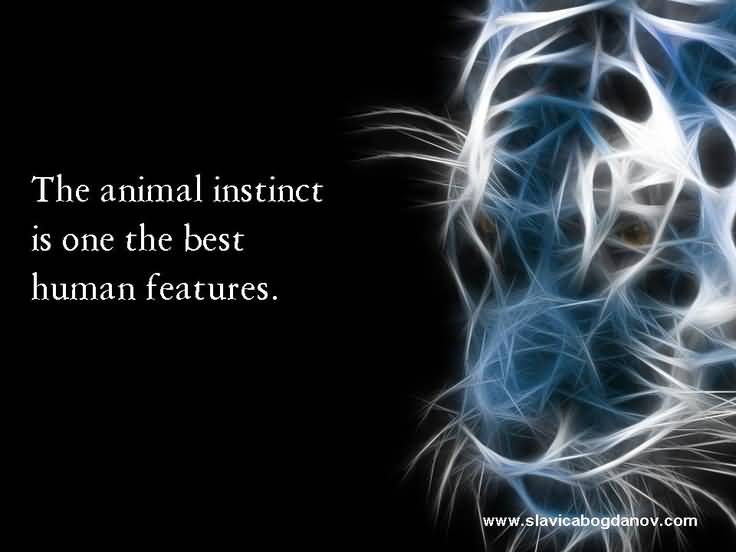 The animal instinct is one the best human features