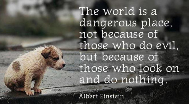 The world is a dangerous place to live; not because of the people who are evil, but because of the people who don't do anything about it.  Albert Einstein