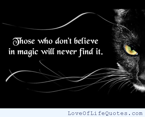 Those who don’t believe in magic will never find it