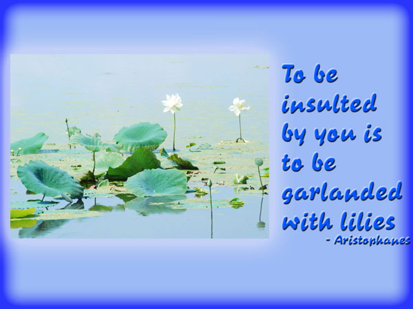 To be insulted by you is to be garlanded with lilies. Aristophanes