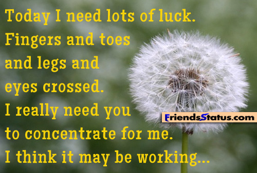 Today I need lots of luck. Fingers and toes and legs and eyes crossed. I really need you to concentrate for me. I think it may be working