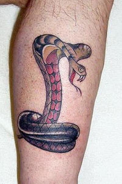 Traditional Cobra Snake Tattoo On Right Leg Calf