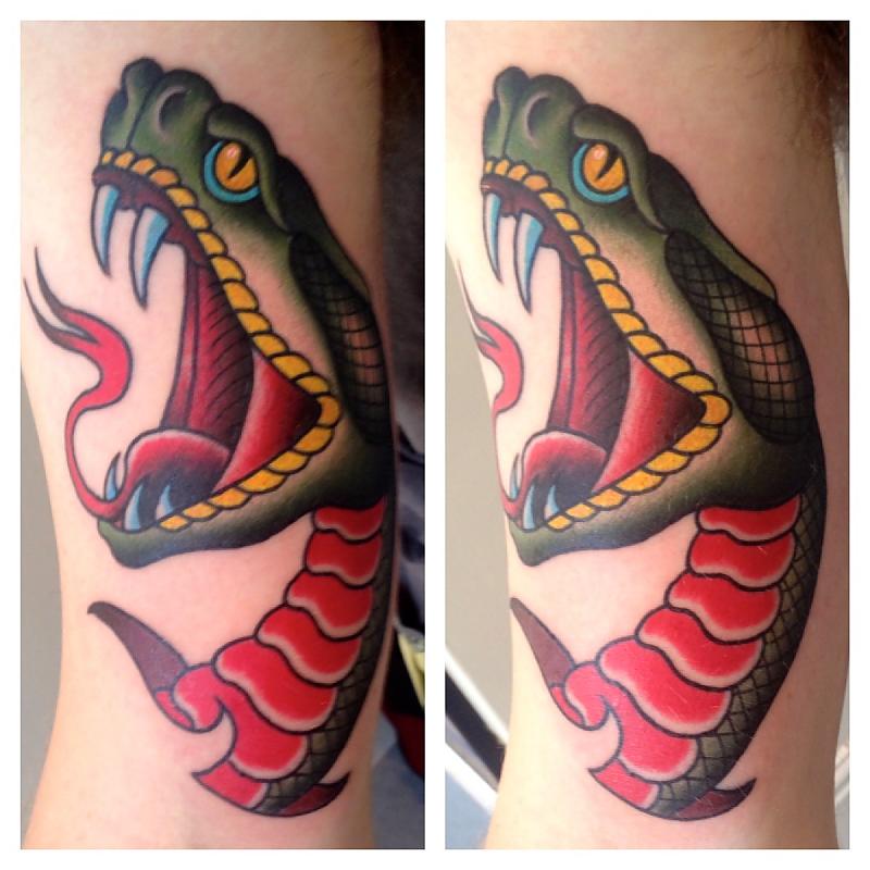 Traditional Snake Head Tattoo Design For Sleeve.