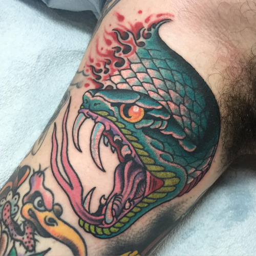 Traditional Snake Head Tattoo On Half Sleeve