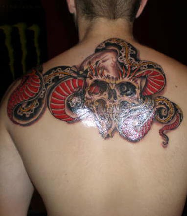 Traditional Snake In Skull Tattoo On Upper Back