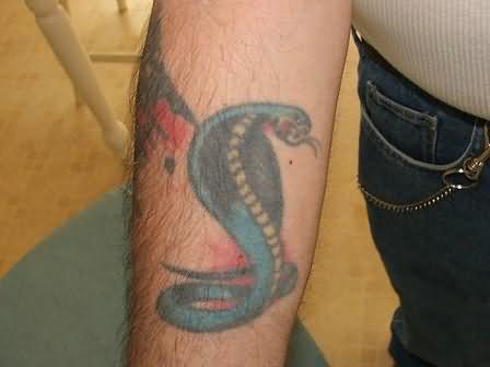 Traditional Snake Tattoo Design For Sleeve