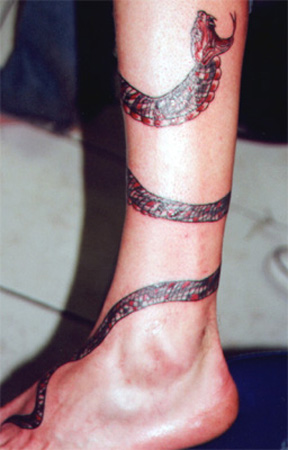Traditional Snake Tattoo On Left Leg