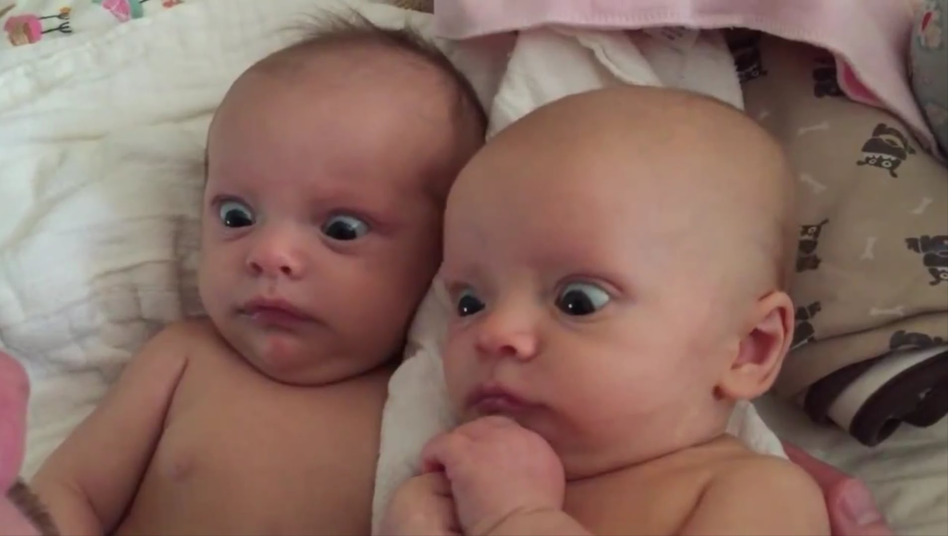 Twin Babies Staring Funny Picture
