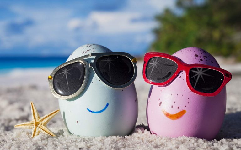 Two Eggs On Beach Wearing Sunglasses Funny Photo