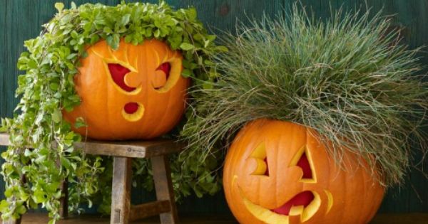 Two Pumpkins With Funny Hairstyle