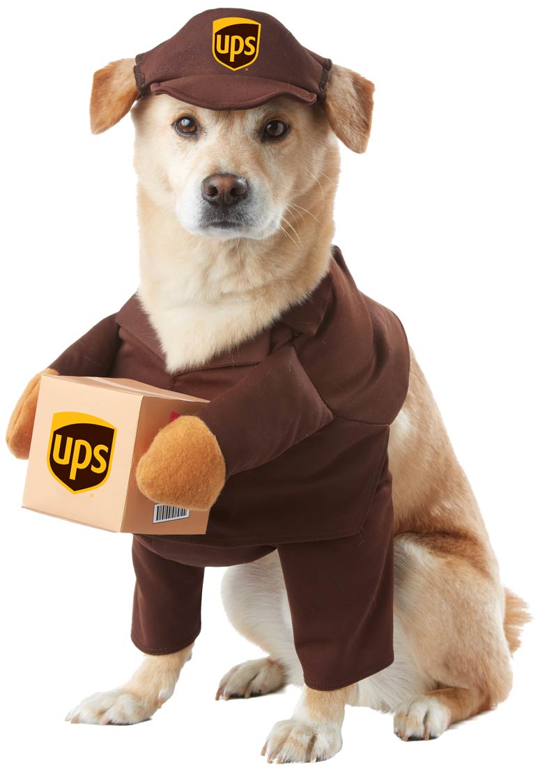 UPS Delivery Boy Funny Costume For Pet