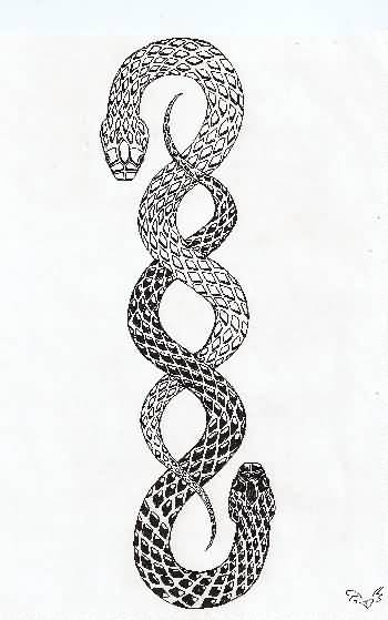 Unique Black Two Snakes Tattoo Design By UsagiTenshi