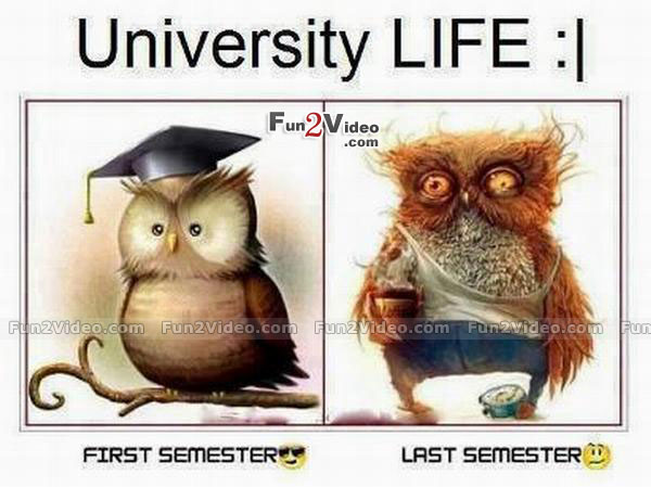 University Life Funny Image
