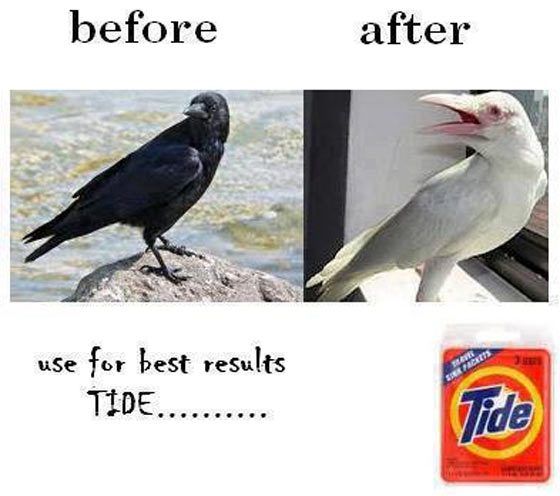 Use For Best Results Tide Funny Advertisement