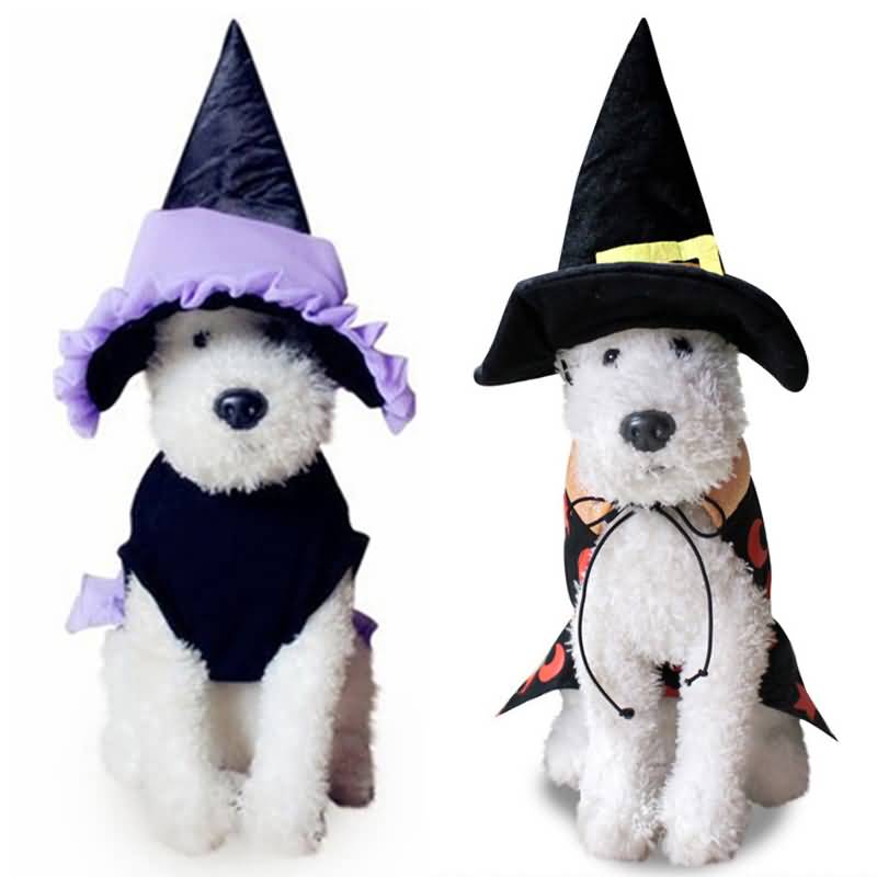 Vampire Assistant Role Jouer Funny Costume For Pets