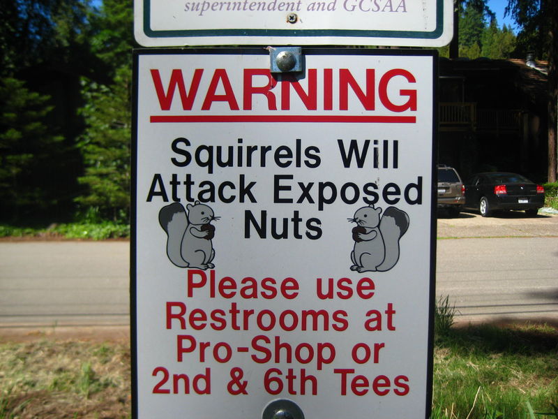 Warning Squirrels Will Attack Exposed Nuts Funny Sign
