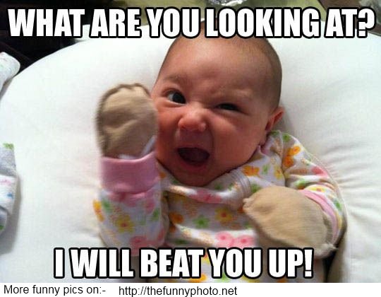 What Are You Looking At1 I Will Beat You UP Funny Image