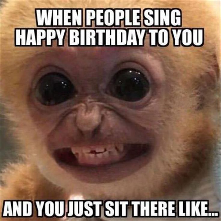 When People Sing Happy Birthday To You And You Just Sit There Like Funny Image