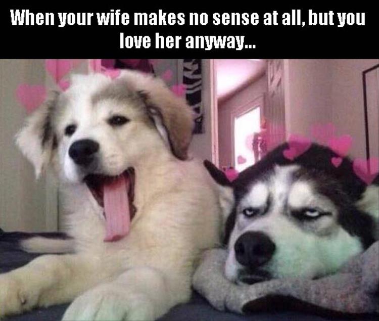 When Your Wife Makes No Sense At All, But You Love Her Anyway Funny Animal Picture
