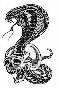 Wonderful Black Ink Snake In Skull Tattoo Design