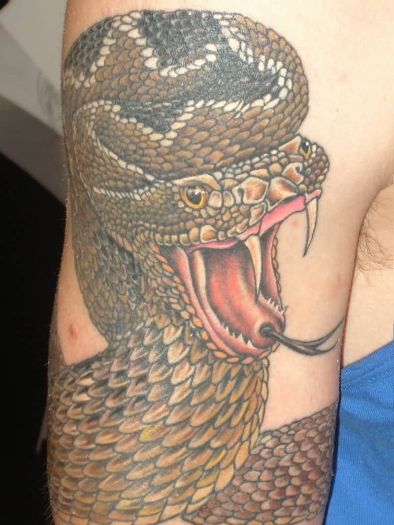 Wonderful Rattlesnake Tattoo On Right Half Sleeve