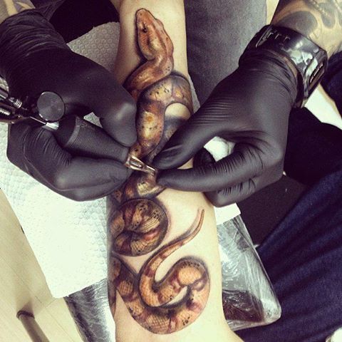 Wonderful Realistic Snake Tattoo On Right Arm