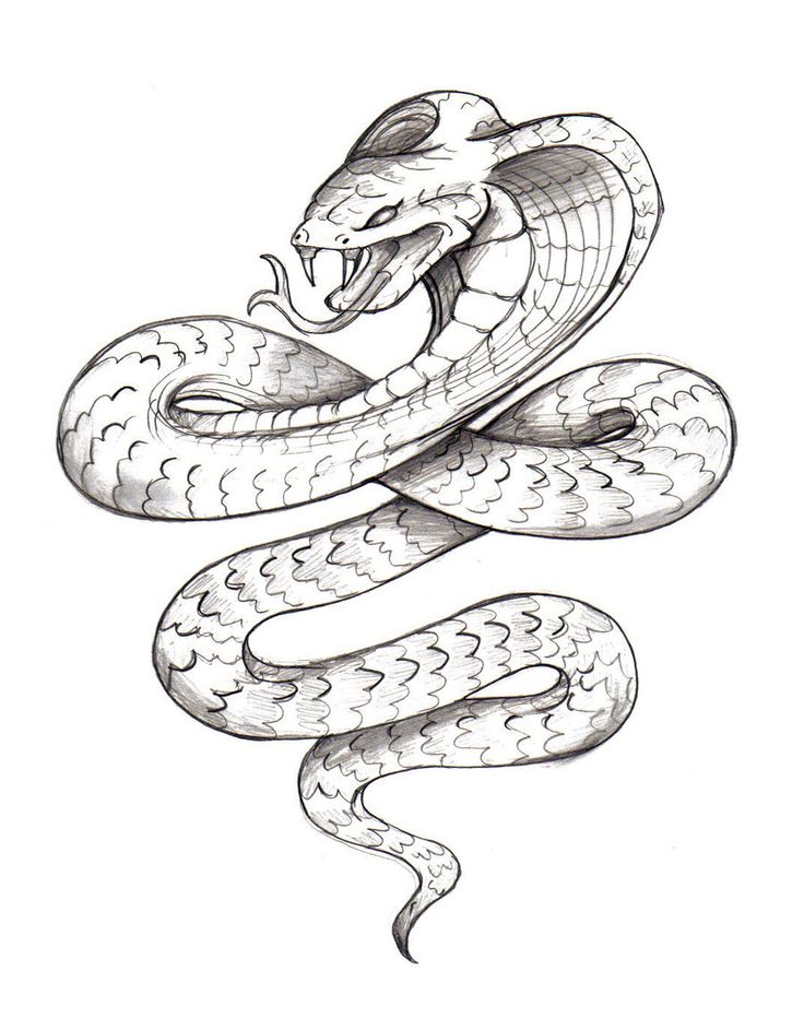 Wonderful Snake Tattoo Design By Wolgy95