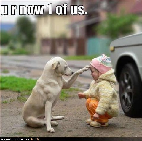 You Are Now 1 Of Us Funny Dog With Little Girl