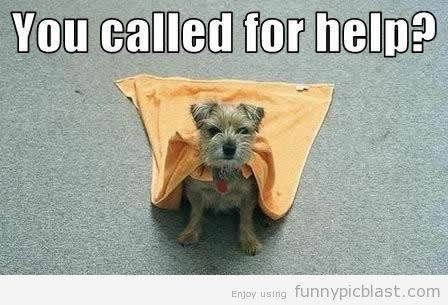 You Called For Help Funny Super Dog Image