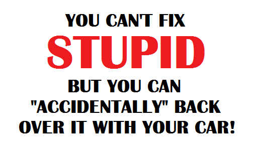 You Can't Fix Stupid But You Can Accidentally Back Over It With Your Car Funny Picture