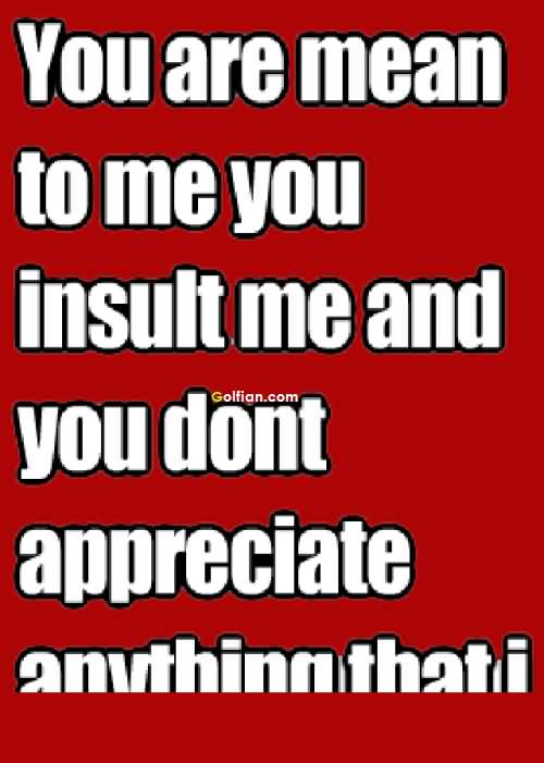 You are mean to me. You insult me and you don't appreciate anything that I do