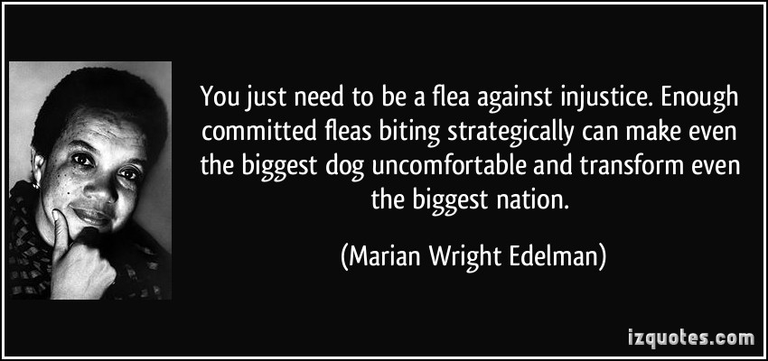 You just need to be a flea against injustice. Enough committed fleas biting strategically can make even the biggest dog uncomfortable and transform even the biggest nation. Marian Wright Edelman