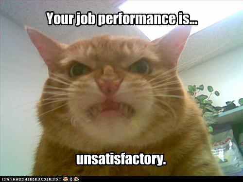 Your Job Performance Is Unsatisfactory Funny Animal Picture