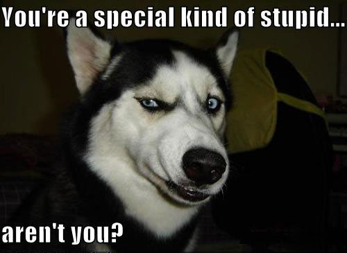 You're A Special Kind Of Stupid Aren't You1 Funny Stupid Picture