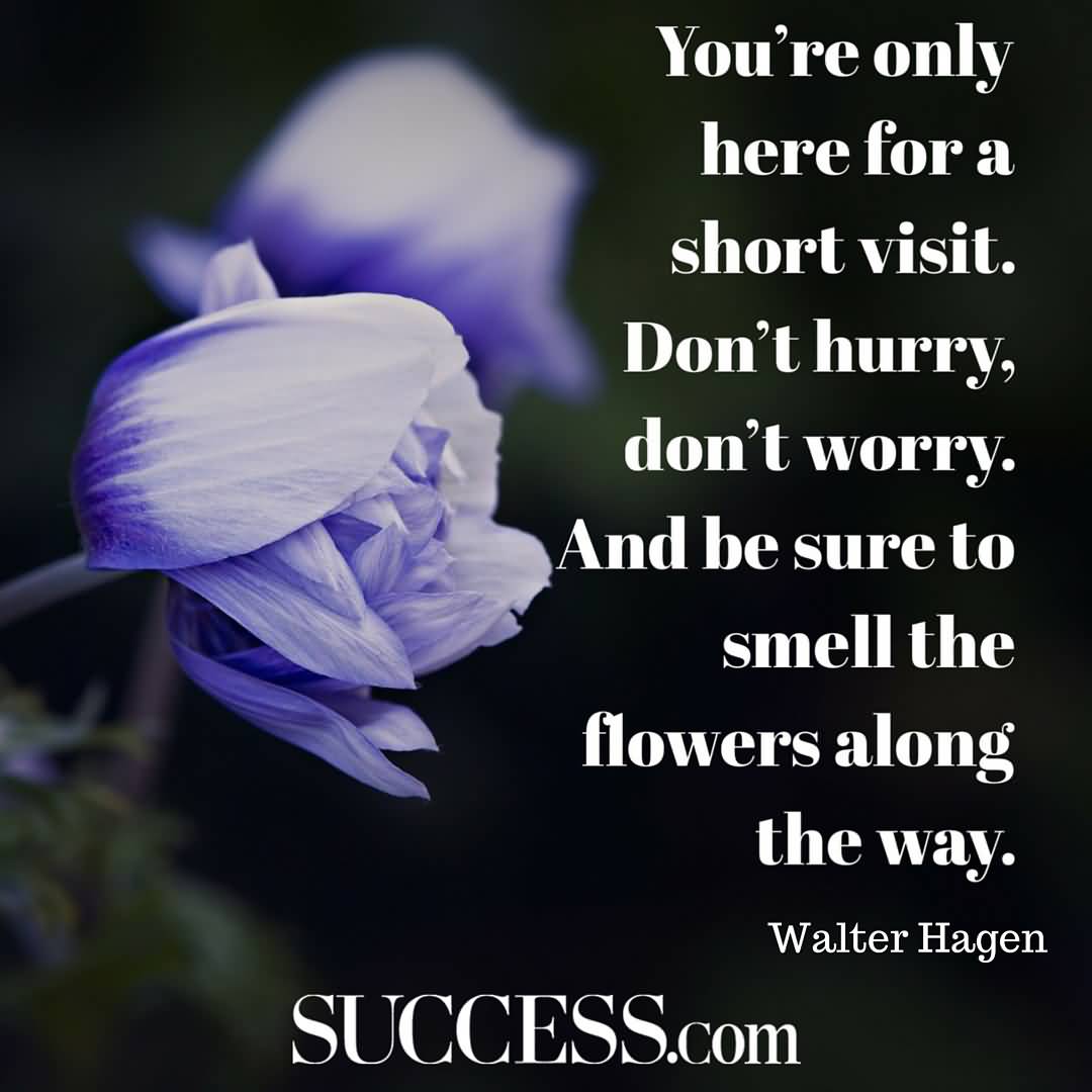 You’re only here for a short visit. Don’t hurry, don’t worry. And be sure to smell the flowers along the way. Walter Hagen