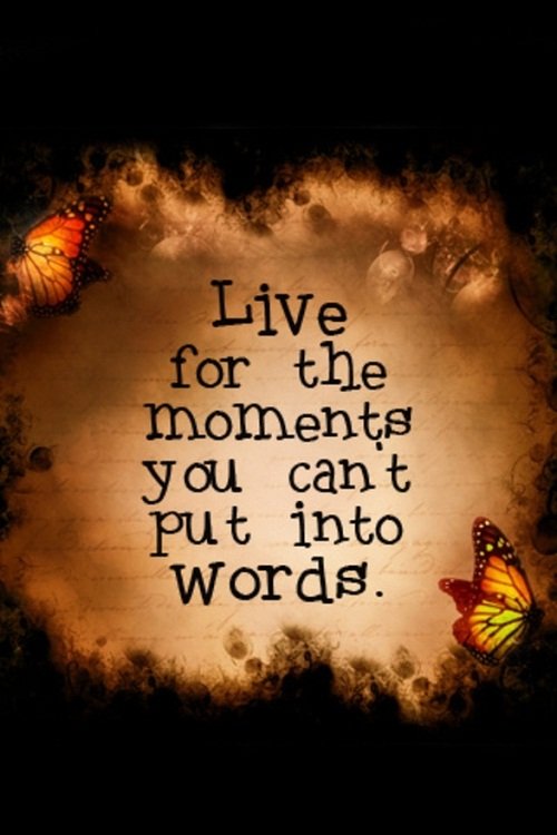 live for the moments you can’t put into words