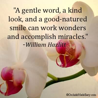 A gentle word, a kind look, a good-natured smile can work wonders and accomplish miracles. William Hazlitt