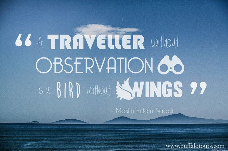 A traveler without observation is a bird without wings. Moslih Eddin Saadi