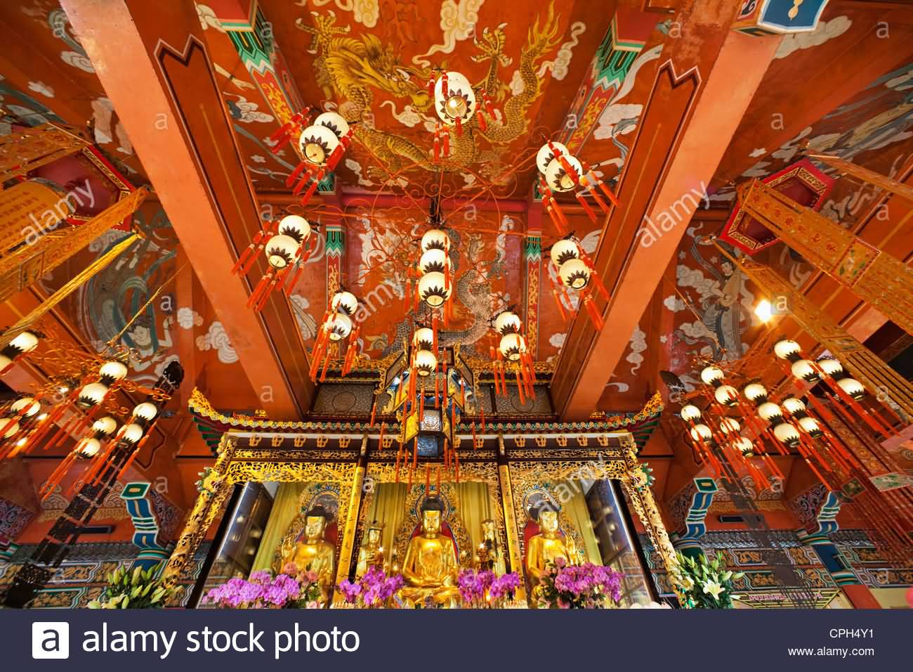 Adorable Ceiling Art Of Po Lin Monastery