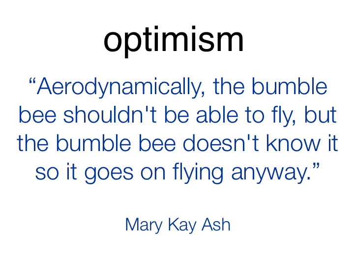 Aerodynamically, the bumble bee shouldn't be able to fly, but the bumble bee doesn't know it so it goes on flying anyway. Mary Kay Ash