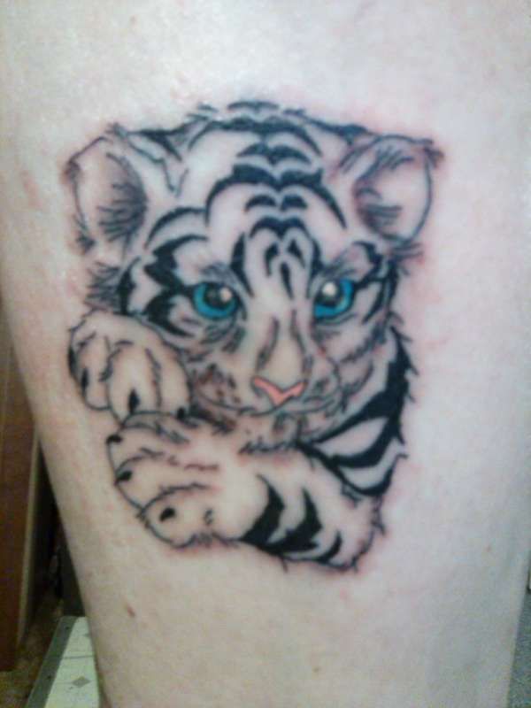 Amazing Blue Eyes Baby Tiger Tattoo Idea